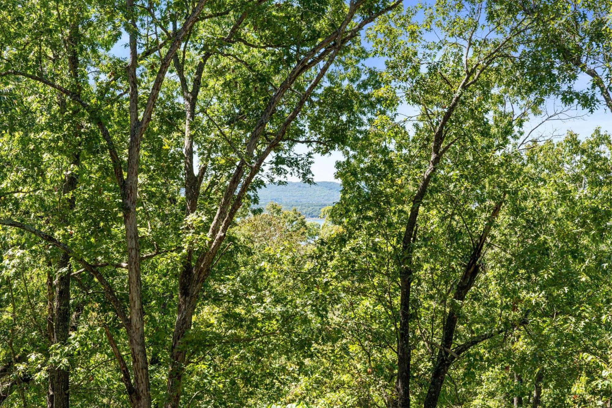 The Lazy K Cabin Cabin Branson Exteriér fotografie